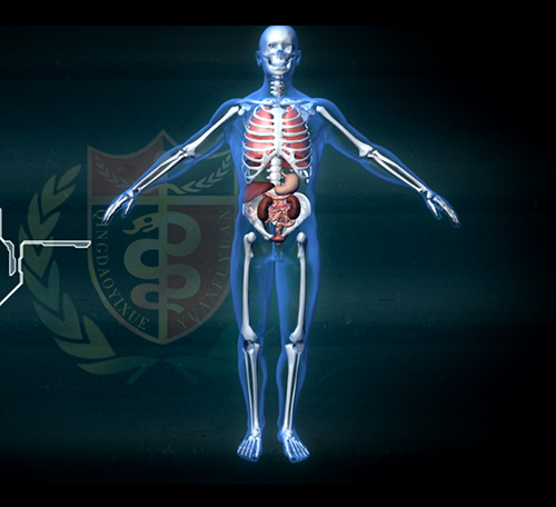 醫(yī)療動畫演示