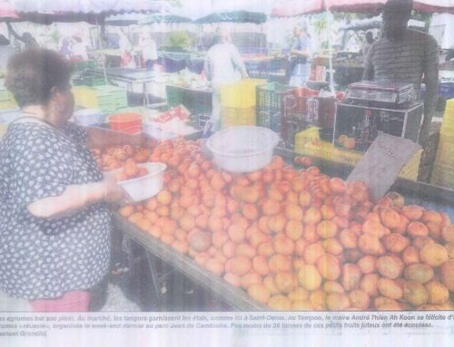 LA RÉUNION PRÉPARE D’ ANNÉE EN ANNÉE SON AUTONOMIE ALIMENTAIRE…